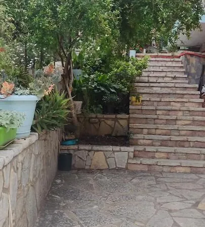 Rina סרנדה