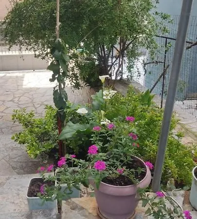 Apartament Rina Saranda